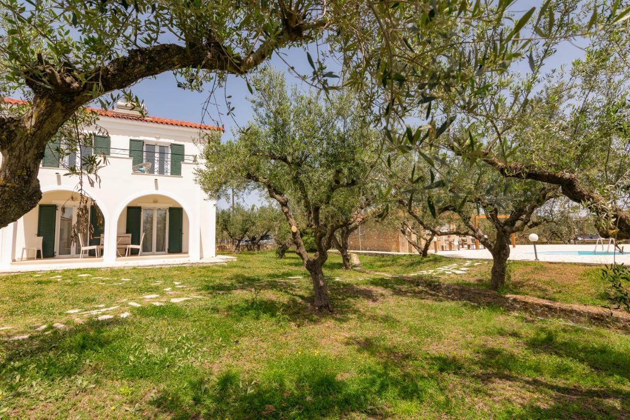 Vasilikí Lenna'S Villas Zante מראה חיצוני תמונה