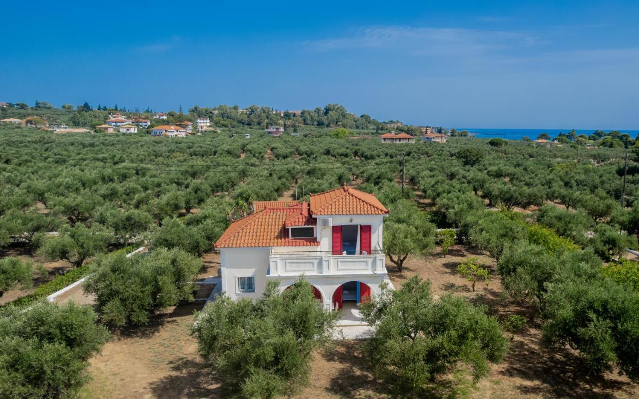 Vasilikí Lenna'S Villas Zante מראה חיצוני תמונה